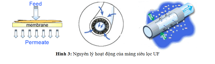 Giới thiệu về Karofi - Công ty uy tín hàng đầu Việt Nam