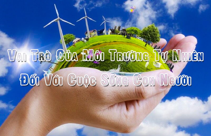 Vai Trò Của Môi Trường Tự Nhiên Đối Với Cuộc Sống Con Người