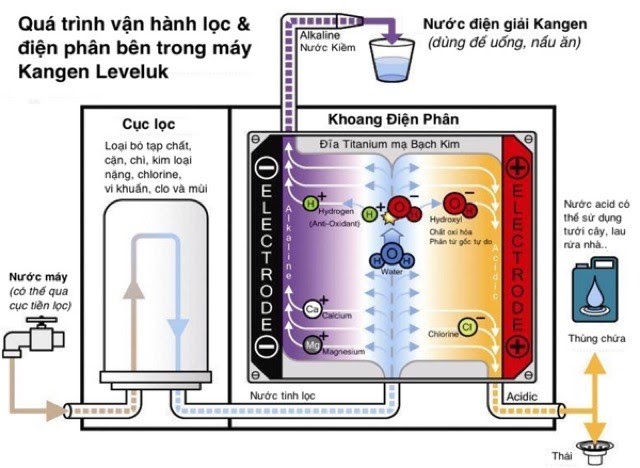 Quy trình hoạt động của máy lọc nước Ion kiềm Kangen Leveluk SD501: