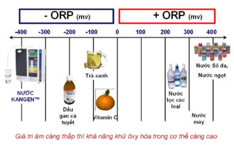 Máy lọc nước điện giải Kangen Leveluk DXII