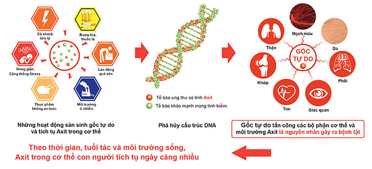 Máy lọc nước điện giải Tyent