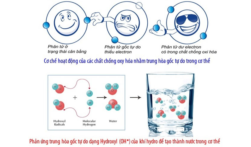 Với đặc tính giàu chất chông oxy hóa – hydrogen