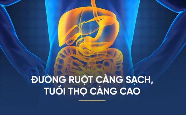 Cải thiện hệ tiêu hóa khỏe mạnh với nước điện giải ion kiềm