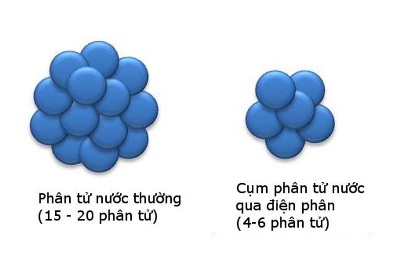 Tác dụng giải độc rượu bia nhanh chóng từ nước điện giải ion kiềm